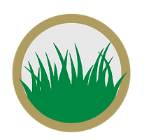 Grass, Silage & Grain Fed